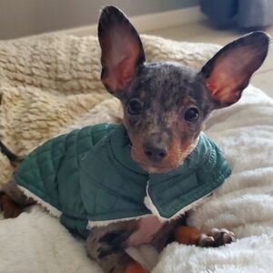 Meet your Posher, Isabella Rose